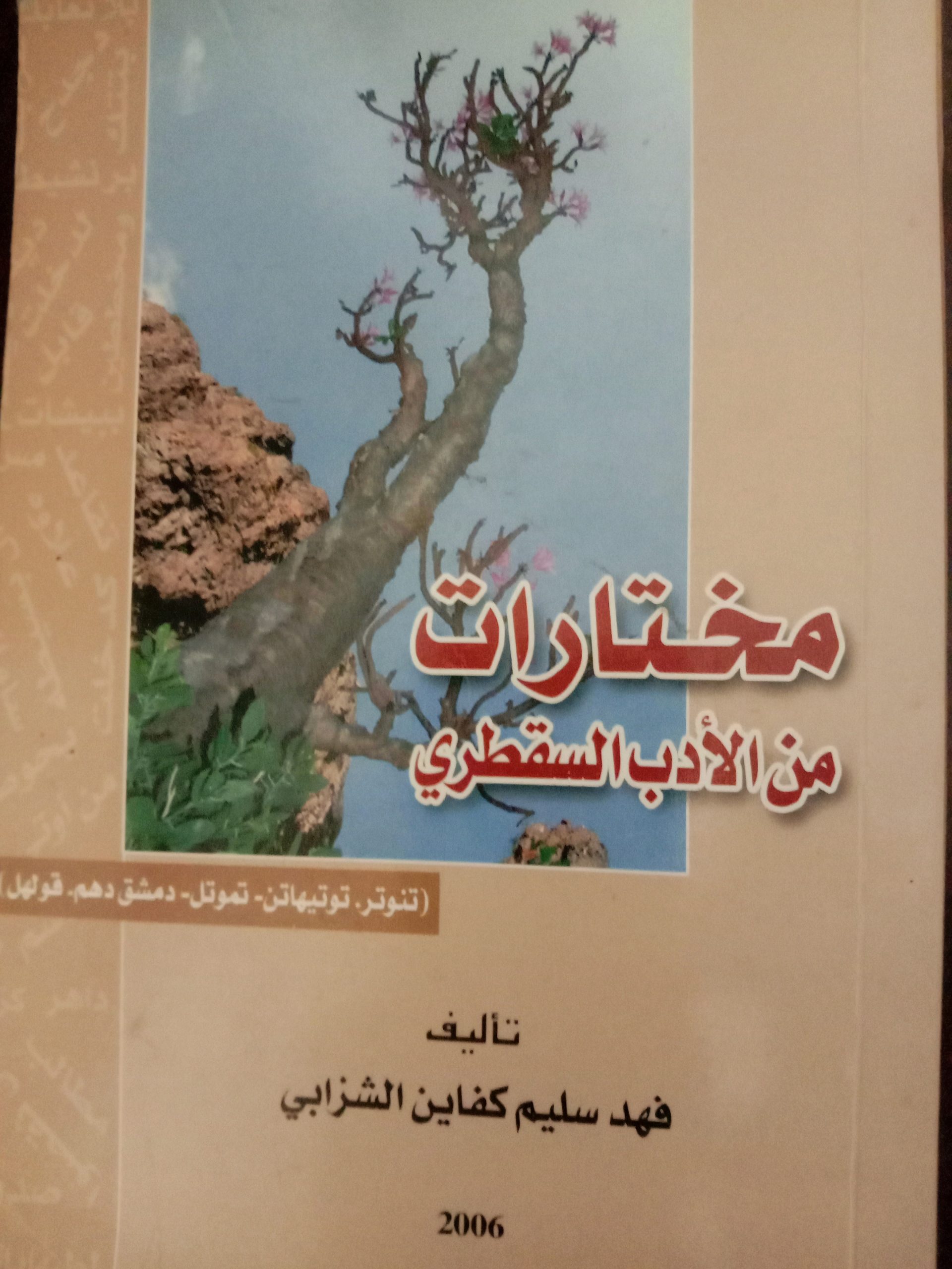 حكايات "سوعيدو":   قراءة في كتاب "مختارات من الأدب السقطري" لفهد كفاين